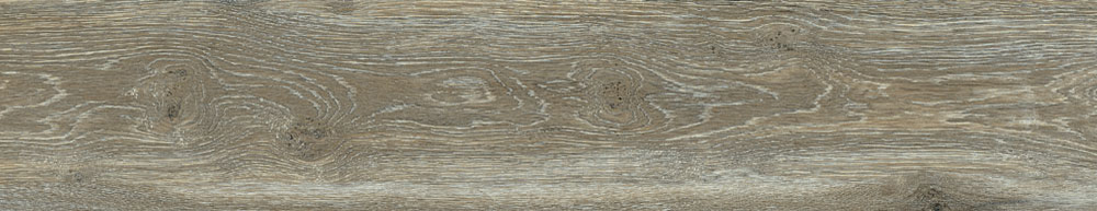 PT05166 2 - PT05166 (2)