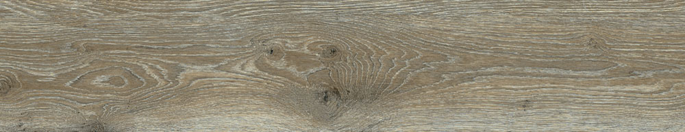 PT05166 4 - PT05166 (4)