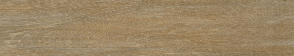 PT05168 1 - PT05168 (1)