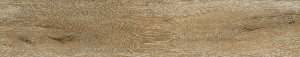PT05168 11 - PT05168 (11)