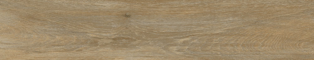 PT05168 2 - PT05168 (2)