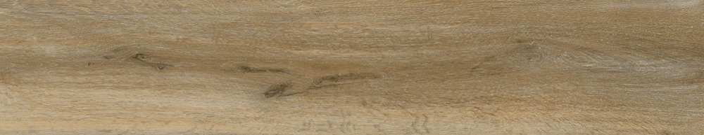 PT05168 3 - PT05168 (3)