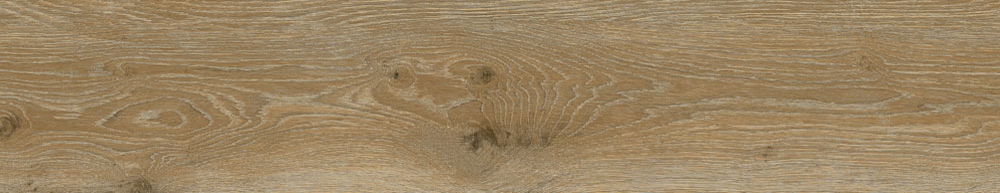 PT05168 4 - PT05168 (4)