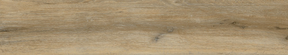 PT05168 7 - PT05168 (7)