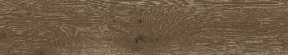 PT05169 1 - PT05169 (1)