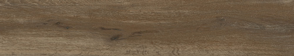 PT05169 13 - PT05169 (13)