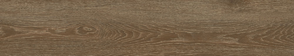 PT05169 14 - PT05169 (14)