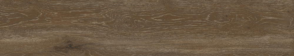 PT05169 15 - PT05169 (15)