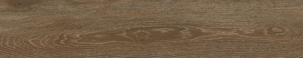 PT05169 16 - PT05169 (16)