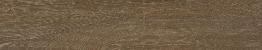 PT05169 3 - PT05169 (3)