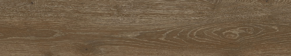 PT05169 6 - PT05169 (6)