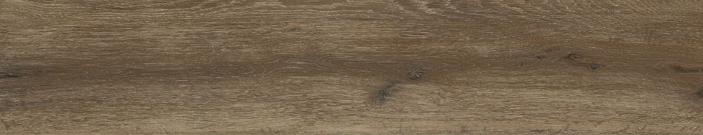 PT05169 7 - PT05169 (7)