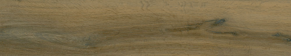 PT05170 11 - PT05170 (11)