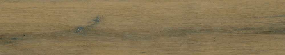 PT05170 16 - PT05170 (16)