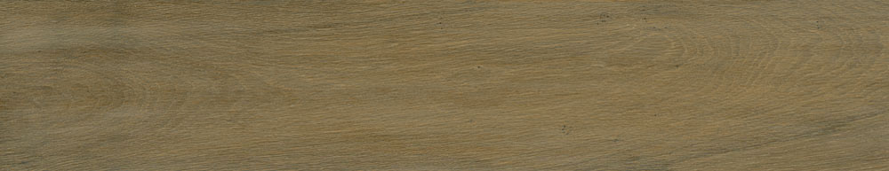 PT05170 2 - PT05170 (2)