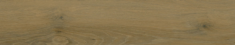 PT05170 3 - PT05170 (3)