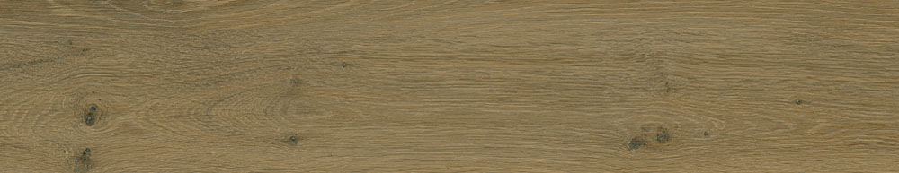 PT05170 4 - PT05170 (4)