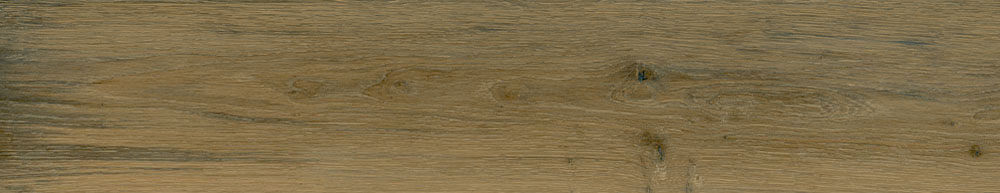 PT05170 5 - PT05170 (5)