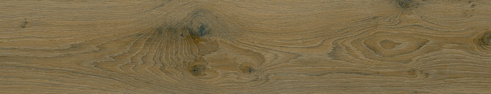 PT05170 6 - PT05170 (6)