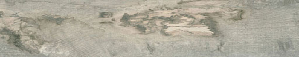 PT05174 11 - PT05174 (11)