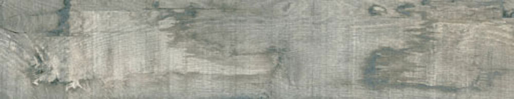 PT05174 2 - PT05174 (2)