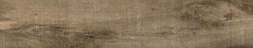 PT05175 1 - PT05175 (1)