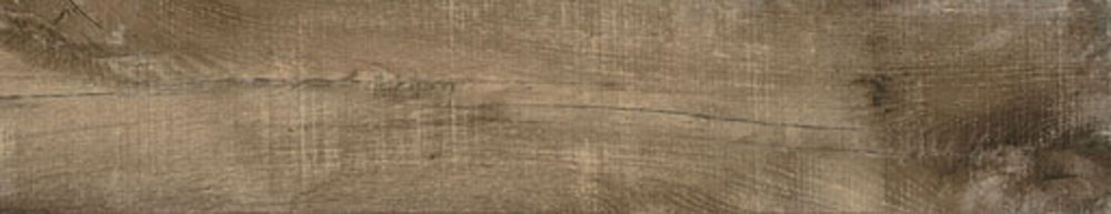PT05175 10 - PT05175 (10)