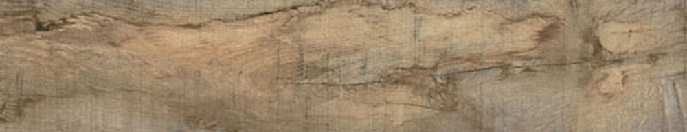 PT05175 5 - PT05175 (5)