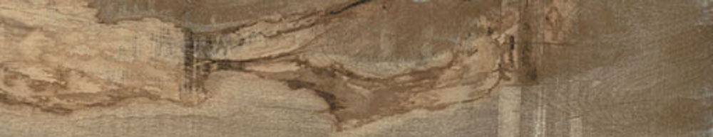 PT05175 6 - PT05175 (6)