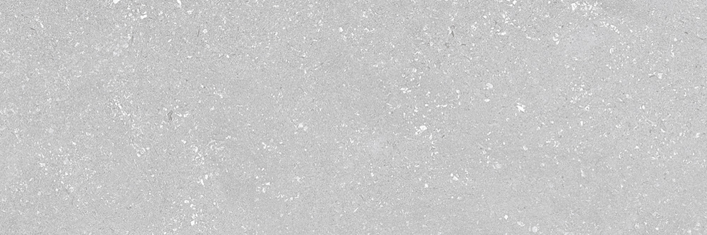 PT10460 19 - PT10460 (19)