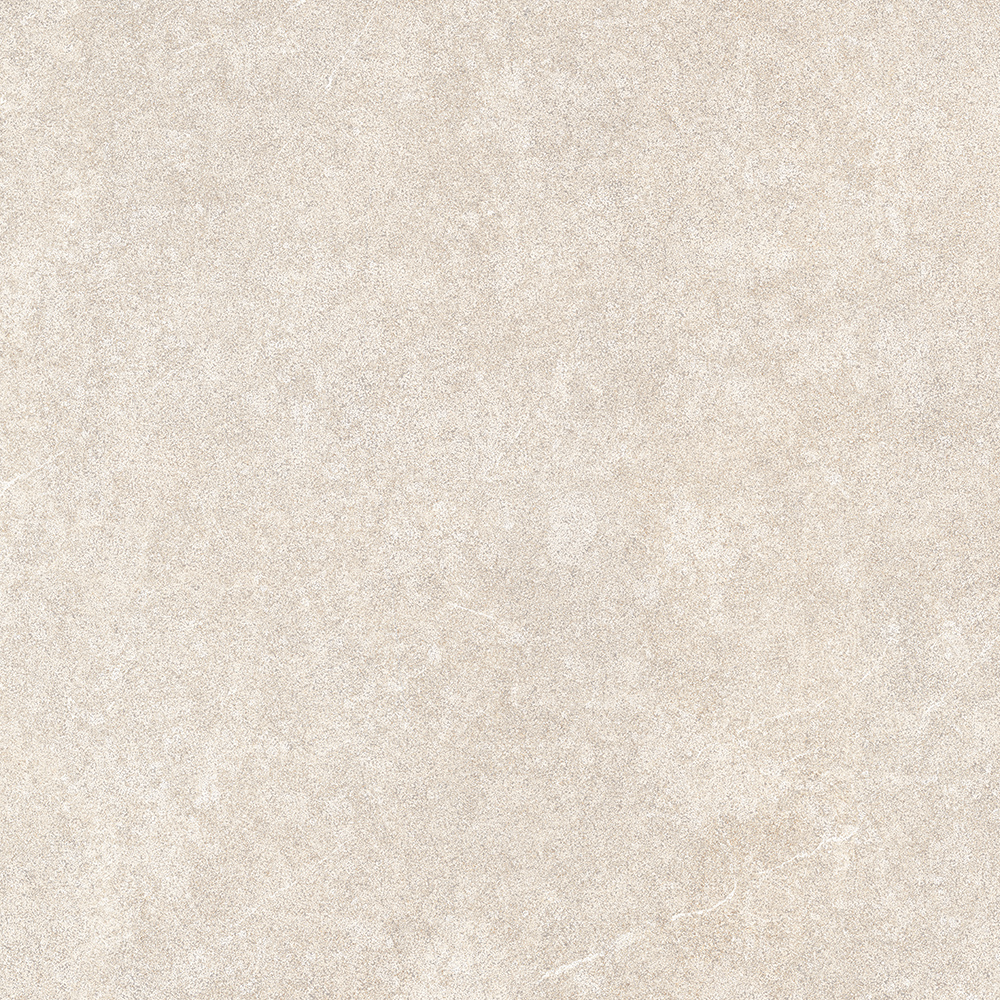 PT12221 2 - PT12221 (2)