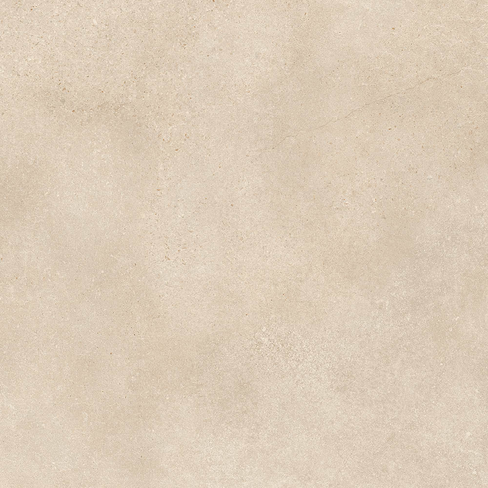 PT12290 6 - PT12290 (6)