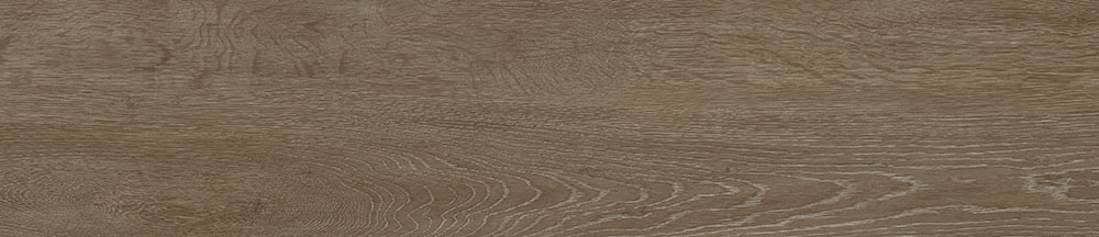 PT12306 12 - PT12306 (12)