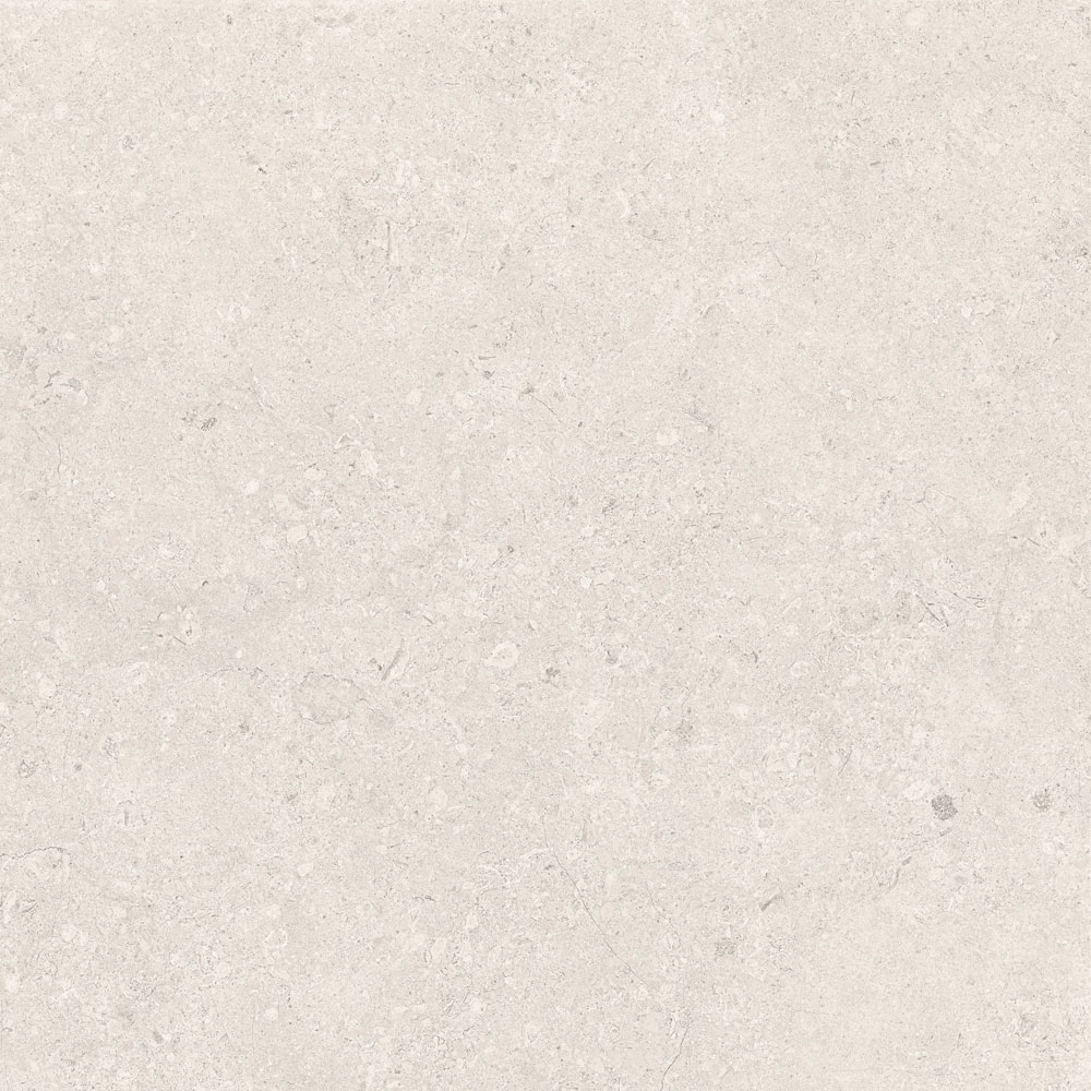 PT12699 10 - PT12699 (10)