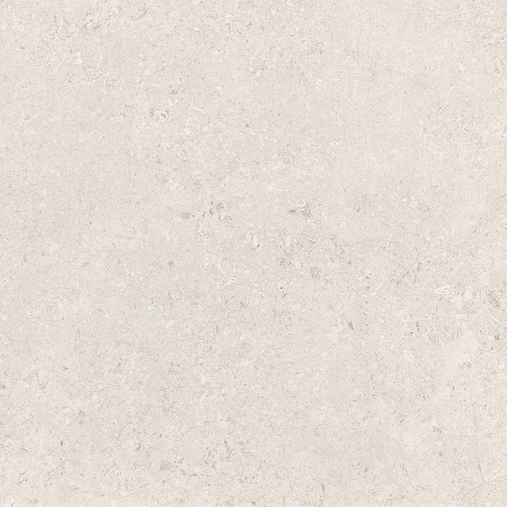 PT12699 20 - PT12699 (20)