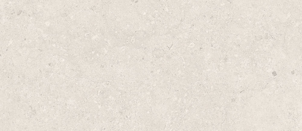 PT12784 18 - PT12784 (18)