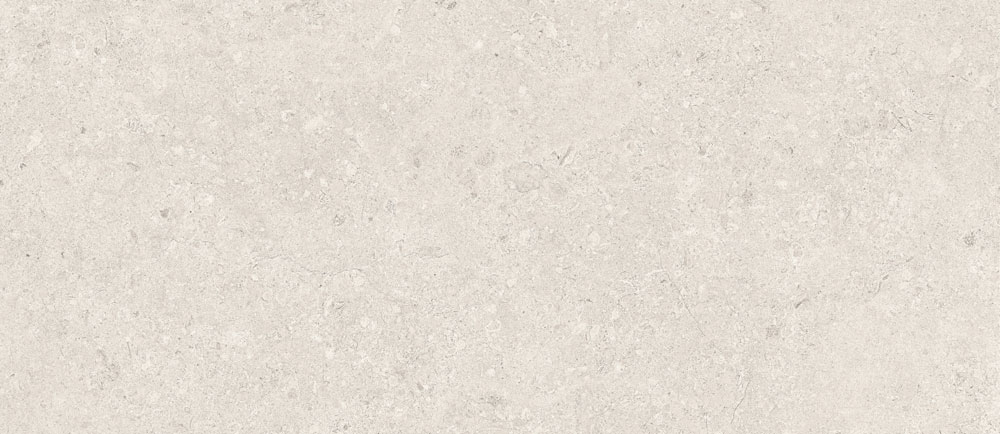PT12784 19 - PT12784 (19)